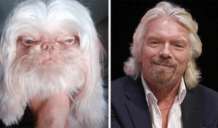 21 Animals And The Celebrity Doppelgangers τους