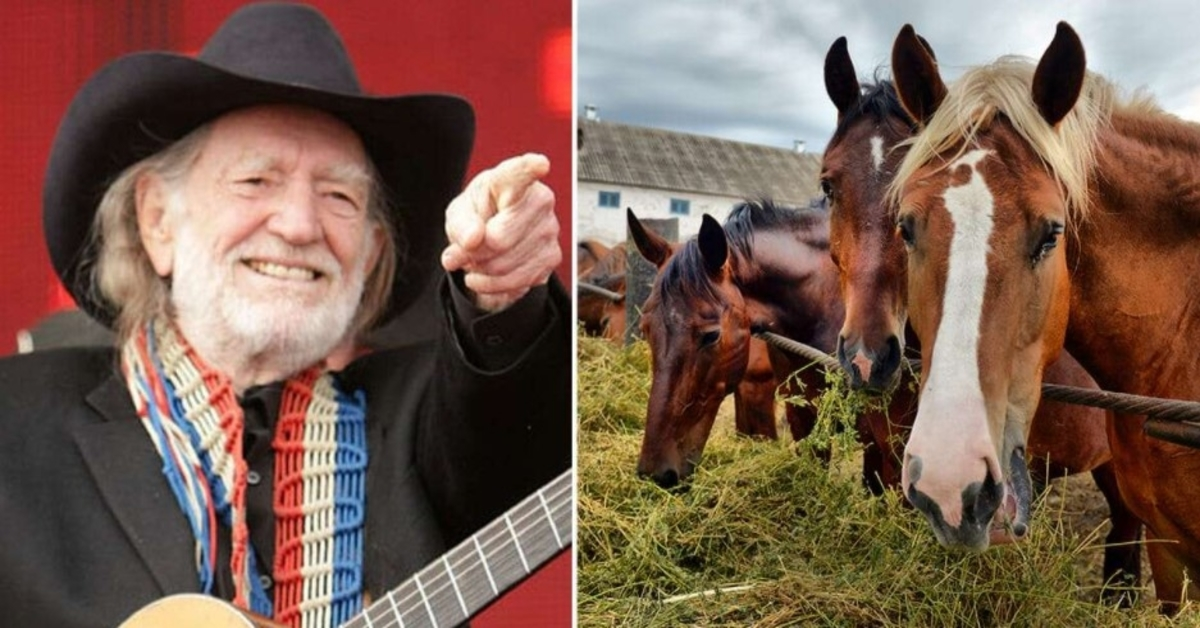 Ο Willie Nelson έσωσε 70 άλογα από ένα σφαγείο για να τα αφήσει να περιφέρονται ελεύθερα στο ράντσο του στο Τέξας